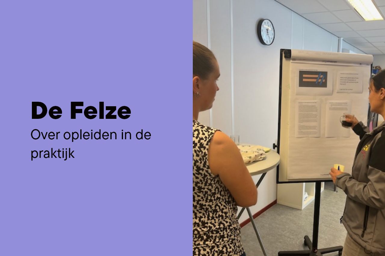 Het opleiden van professionals in de praktijk › GZA